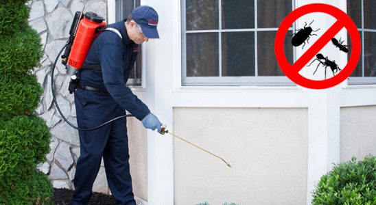 Burdur Akrep İlaçlama böcek ilaçlama ve haşere kontrolü — ilaclama-tr.com